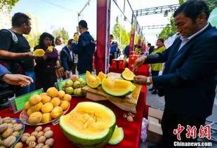 缅北吃瓜最新事件爆料,最新吃瓜事件揭秘